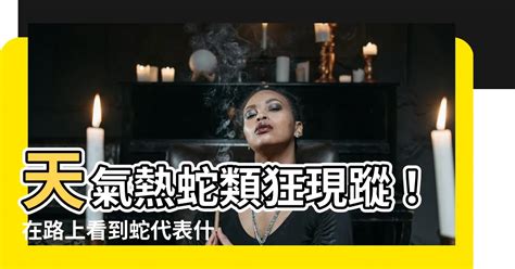 在路上看到蛇代表什麼|【看到蛇是什麼意思】蛇出沒該如何應對？民俗專家：看到蛇必做。